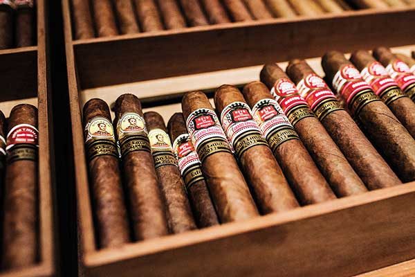 hướng dẫn cách xếp cigar đúng cách